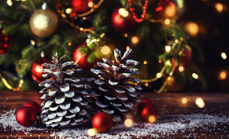 DIY especial de Natal: use pinhas para sua decoração