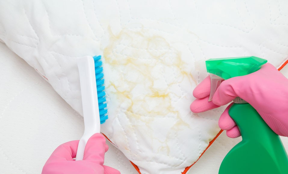 ¿Cómo limpiar eficazmente una mancha de saliva?