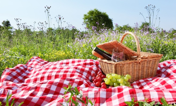 Organisera en picknick utan avfall