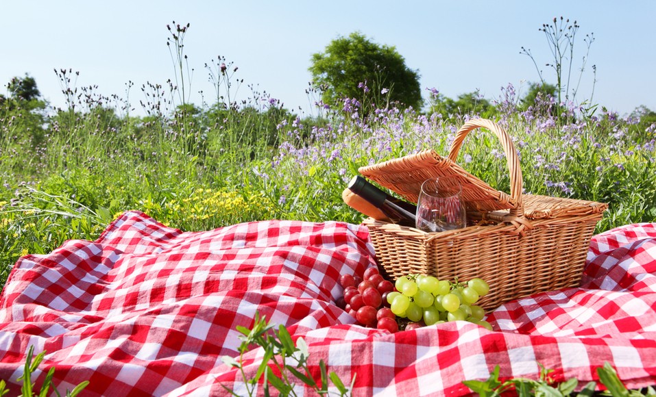 3 tipp a hulladékmentes piknikhez