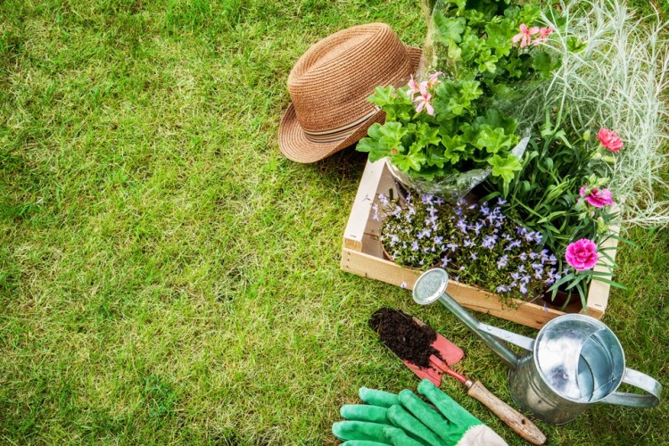 Vedligehold din have med naturlige produkter