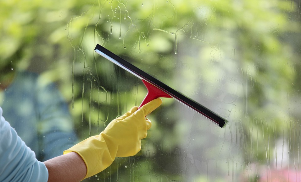 Jak a proč byste měli čistit okna citronem?