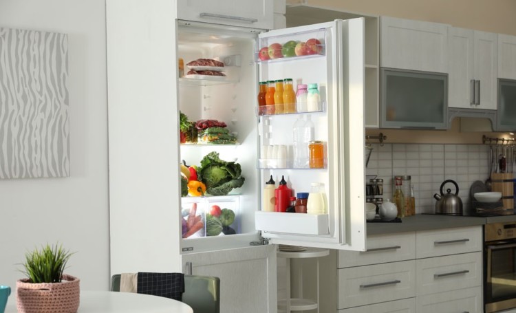 Hvordan vælger man et køleskab?
