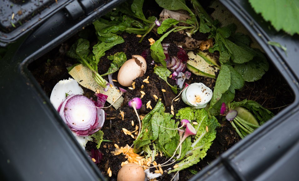 Mitä kompostiin saa laittaa tai ei?