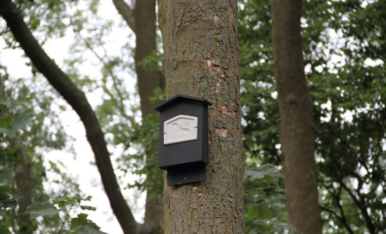 Tutorial: een nestkast maken voor vleermuizen