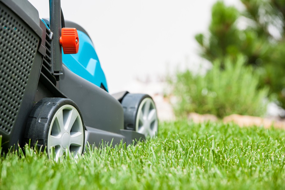 3 tips för rengöring och underhåll av en gräsklippare
