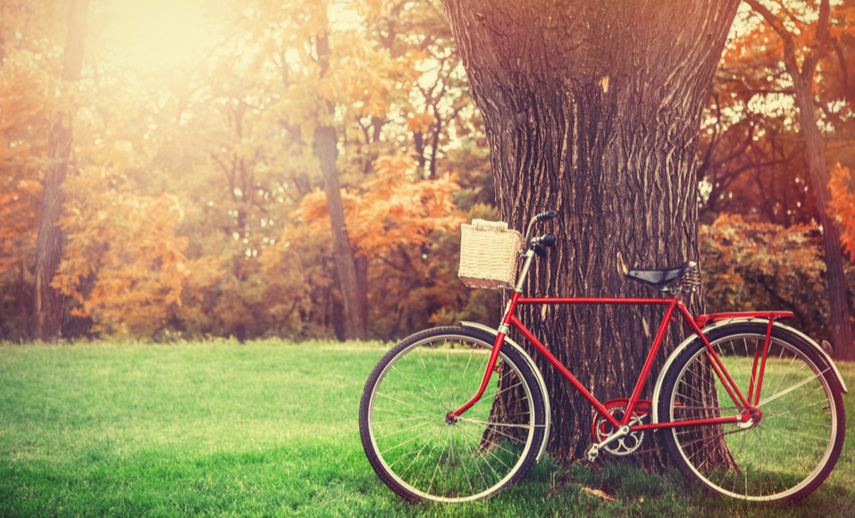 Hur man återställer en gammal cykel: några tips