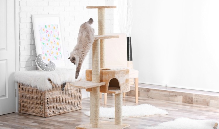 DIY: bygg ett kattträd själv
